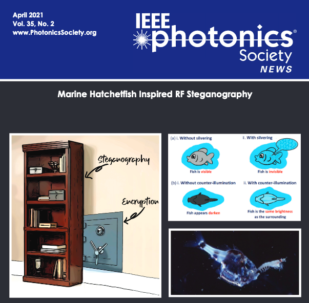 In IEEE Photonics Society Magazine: Steganography Inspired by Marine Hatchetfish